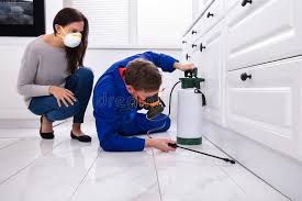 Best Residential Pest Control  in Roanoke, TX